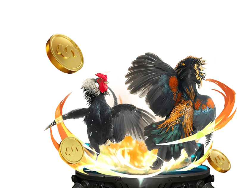 Giới thiệu về đá gà trực tuyến tại vntop88